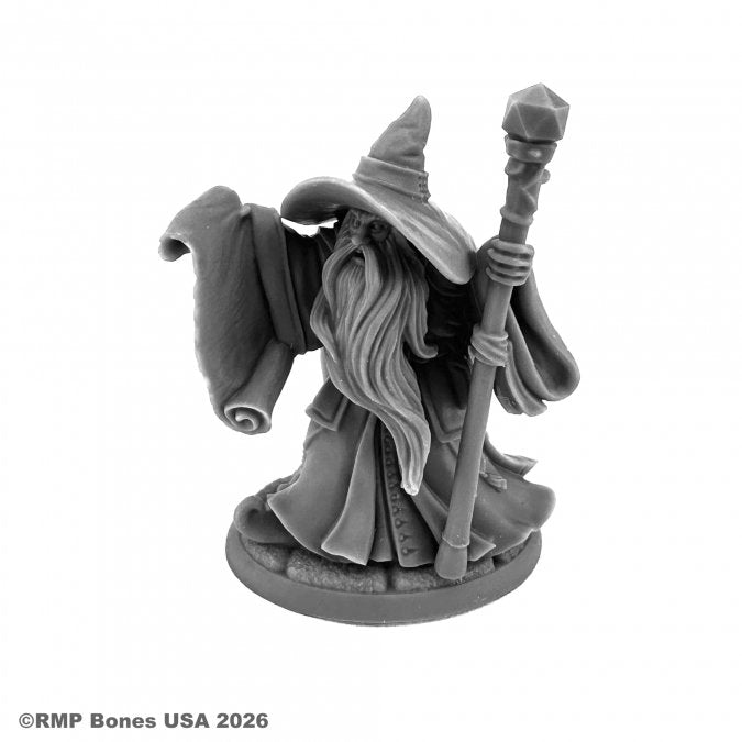 RPR 07191: Galladon Greycloak - Dungeon Dwellers