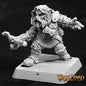 RPR 14130: Snorri Dwarf Solo - Warlord