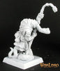 RPR 14188: Ssudai Nagendra, Mage - Warlord
