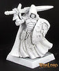 RPR 14200: Sir Brannor, Crusaders Captain - Warlord