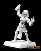 RPR 14242: Sokars Prophet Nefsokar, Cleric - Warlord