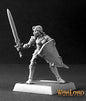 RPR 14376: Nalada, Sister of the Blade Warrior - Warlord