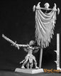 RPR 14530: Darkspawn Standard Bearer - Warlord