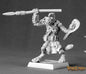 RPR 14577: Gnoll Raider, Krgir - Warlord