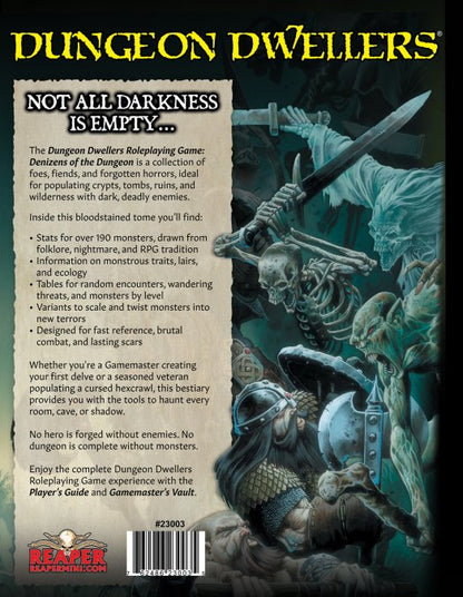 RPR 23004: DDRPG Denizens of the Dungeon (Volume 1) Book