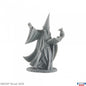 RPR 30002: Darius the Wizard - Reaper Legends