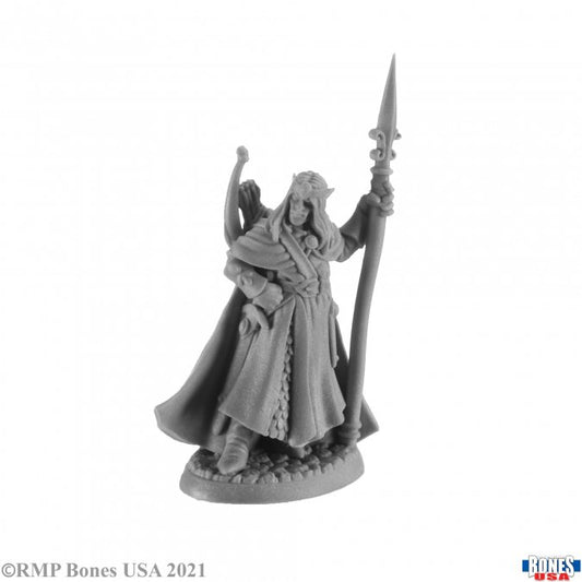 RPR 30006: Elanter, the Lost Prince - Reaper Legends