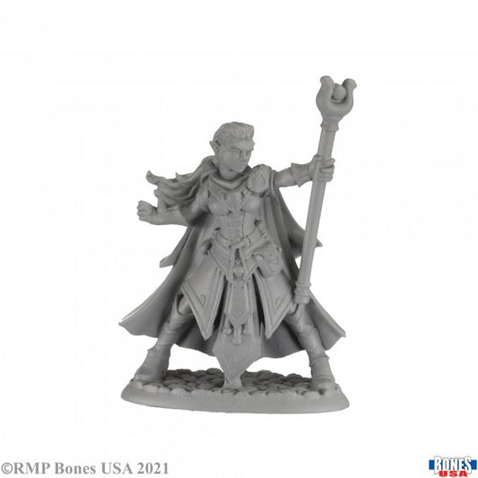RPR 30008: Alaedril Starbloom, Elf Wizard - Reaper Legends