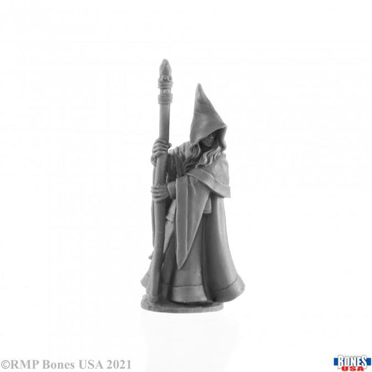 RPR 30027: Anirion, Elf Wizard - Reaper Legends