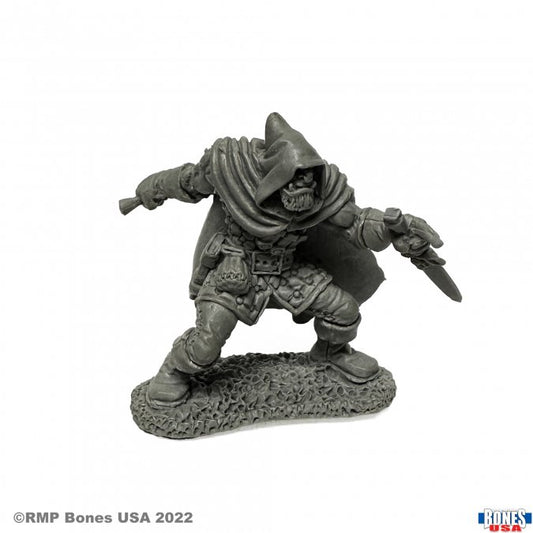 RPR 30085: Rogan, Half-Orc Thief - Reaper Legends
