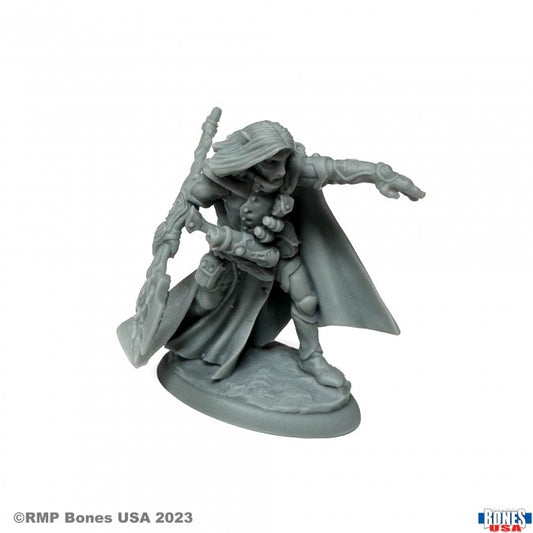 RPR 30158: Elquin the Daring - Reaper Legends