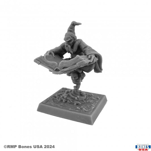 RPR 30188: Wizard - Reaper Legends
