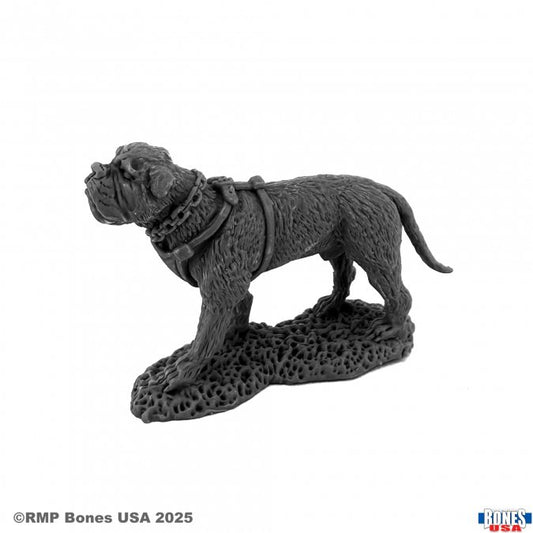 RPR 30203: Garr, War Dog - Reaper Legends