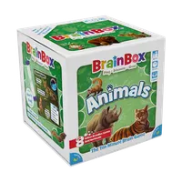 Brain Box: Animals