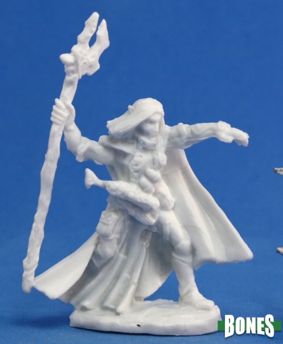 RPR 77092: Elquin, High Elf Adventurer - Bones
