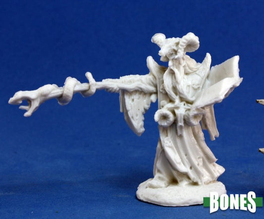RPR 77174: Leisynn, Mercenary Mage - Bones