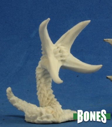 RPR 77228: Chthon - Bones