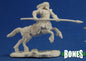 RPR 77263: Male Centaur - Bones