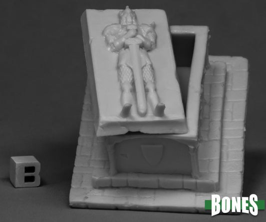 RPR 77540: Large Sarcophagus - Bones