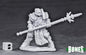 RPR 77554: Crusader Defender - Bones