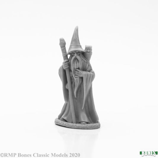 RPR 77661: Anuminar Winterbeard, Wizard - Bones