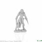 RPR 77741: Shardis, Female Elf Rogue - Bones