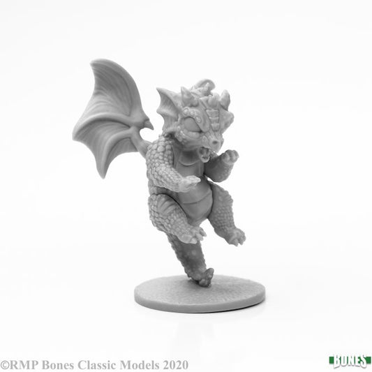 RPR 77919: Flying Rocky - Bones