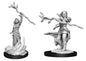 Dungeons and Dragons: Human Druid