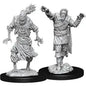 Dungeons and Dragons: Scarecrow & Stone Cursed