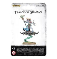 Warhammer Age of Sigmar: Disciples of Tzeentch - Tzaangor Shaman