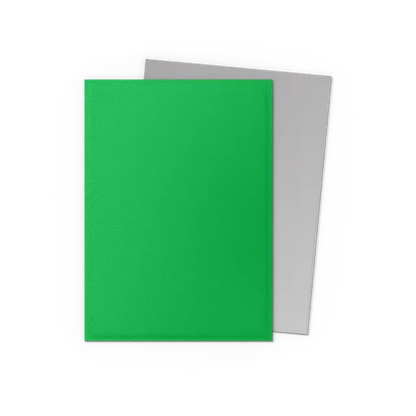 Dragon Shield Sleeves: Standard DUAL Matte- Apple Green & Silver
