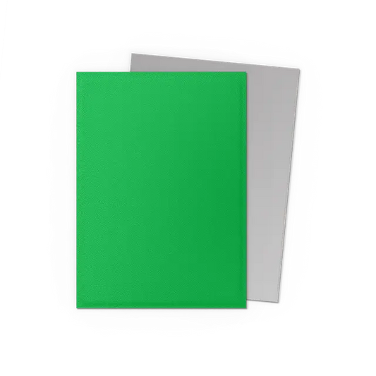 Dragon Shield Sleeves: Standard DUAL Matte- Apple Green & Silver
