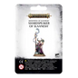 Warhammer Age of Sigmar: Shardspeaker of Slaanesh