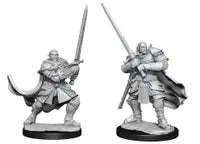 Dungeons and Dragons: Goblin Half Orc Paladin