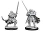 Dungeons and Dragons: Goblin Half Orc Paladin