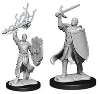 D&D Half-Elf Paladin