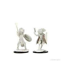 Dungeons and Dragons: Changeling Cleric