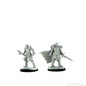 D&D Dragonborn Fighter