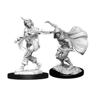 Pathfinder Female Human Rogue