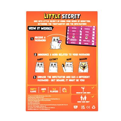 Little Secret - Board Game