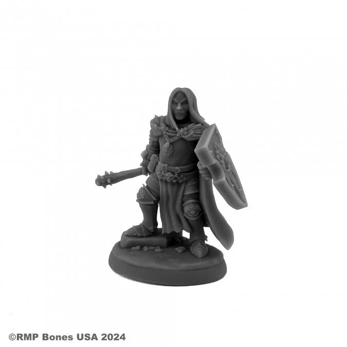 RPR 07207: Ascarleth, Evil Cleric - Dungeon Dwellers