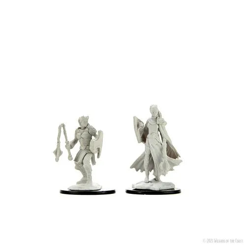D&D Kalashtar Cleric