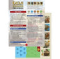 Catan Scenario: Frenemies