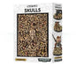 Citadel Skulls Box