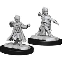 Pathfinder Male Halfling Monk