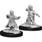 Pathfinder Male Halfling Monk